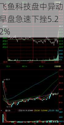 飞鱼科技盘中异动 早盘急速下挫5.22%