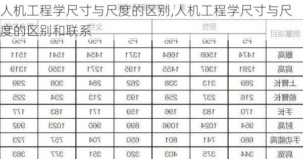 人机工程学尺寸与尺度的区别,人机工程学尺寸与尺度的区别和联系