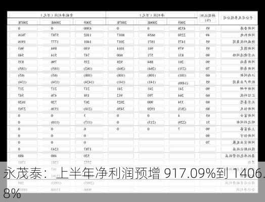 永茂泰：上半年净利润预增 917.09%到 1406.8%