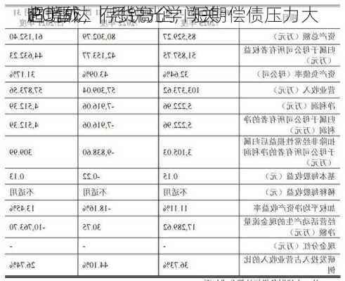 IPO雷达｜思锐光学闯关
：境外
占
超七成，存货高企，短期偿债压力大