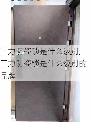 王力防盗锁是什么级别,王力防盗锁是什么级别的品牌