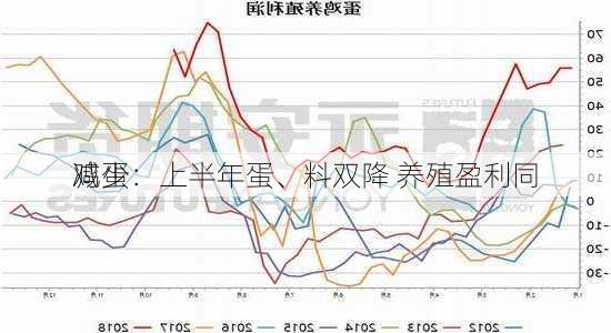 鸡蛋：上半年蛋、料双降 养殖盈利同
减少