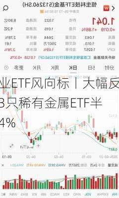 行业ETF风向标丨大幅反弹！3只稀有金属ETF半
涨超4%