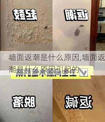 墙面返潮是什么原因,墙面返潮是什么原因引起的