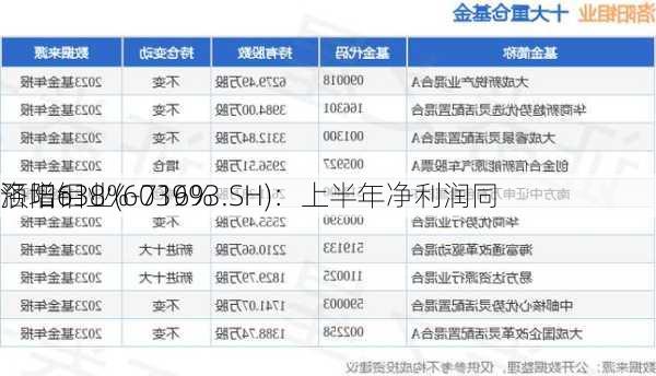 洛阳钼业(603993.SH)：上半年净利润同
预增638%-716%