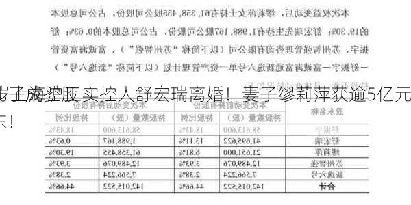 73岁上海沪工实控人舒宏瑞离婚！妻子缪莉萍获逾5亿元
，儿子成控股股东！