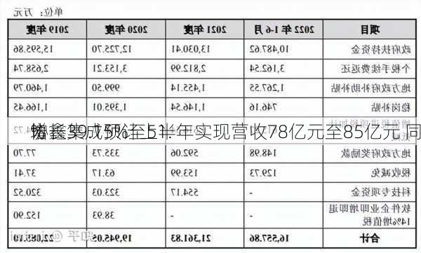 协鑫集成预计上半年实现营收78亿元至85亿元 同
增长39.15%至51.
%