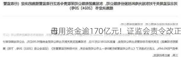 母
占用资金逾170亿元！证监会责令改正