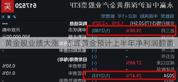 黄金股业绩大涨    赤峰黄金预计上半年净利润翻番