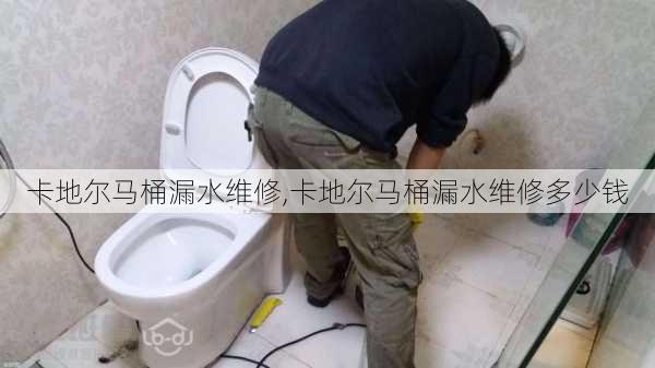 卡地尔马桶漏水维修,卡地尔马桶漏水维修多少钱