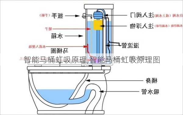 智能马桶虹吸原理,智能马桶虹吸原理图