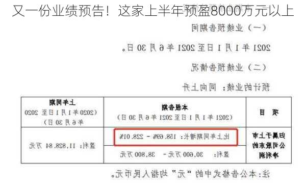 又一份业绩预告！这家上半年预盈8000万元以上