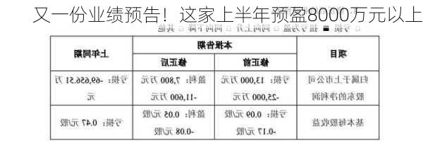 又一份业绩预告！这家上半年预盈8000万元以上