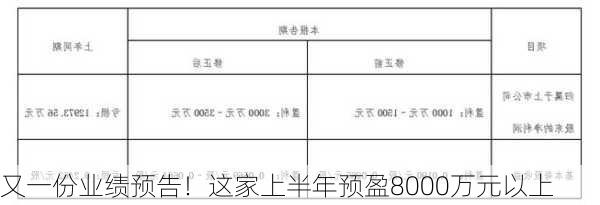 又一份业绩预告！这家上半年预盈8000万元以上