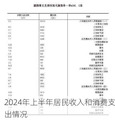 2024年上半年居民收入和消费支出情况