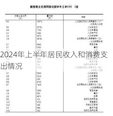 2024年上半年居民收入和消费支出情况