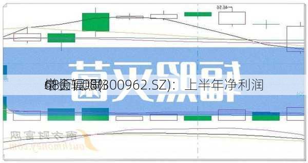 中金辐照(300962.SZ)：上半年净利润
68万元 同
增长1.08%