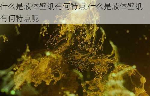 什么是液体壁纸有何特点,什么是液体壁纸有何特点呢