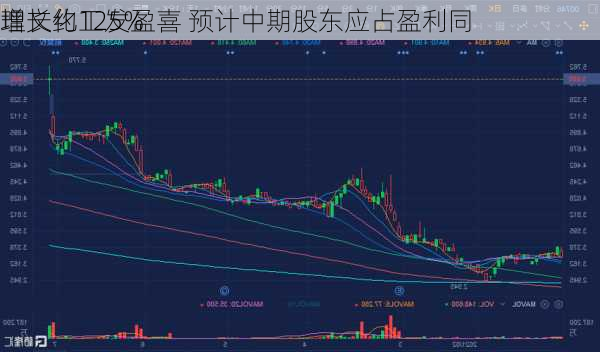 理文化工发盈喜 预计中期股东应占盈利同
增长约125%