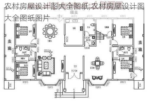 农村房屋设计图大全图纸,农村房屋设计图大全图纸图片