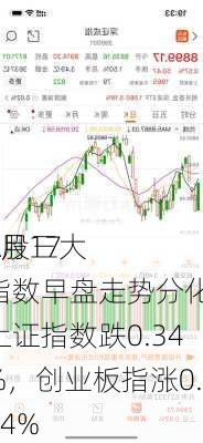 7月17
A股三大指数早盘走势分化，上证指数跌0.34%，创业板指涨0.44%