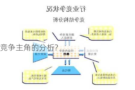 
竞争主角的分析?