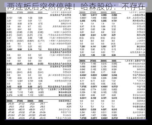 两连板后突然停牌！哈森股份：不存在