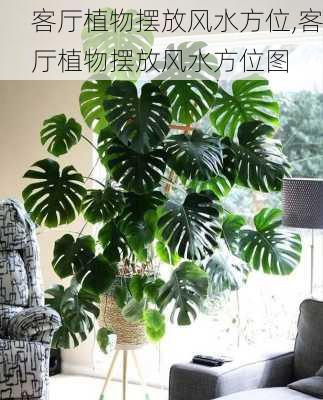 客厅植物摆放风水方位,客厅植物摆放风水方位图