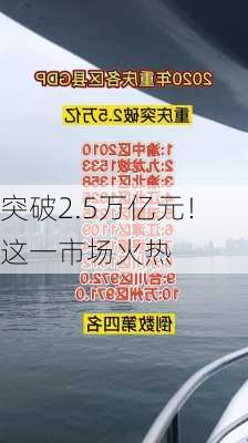 突破2.5万亿元！这一市场火热