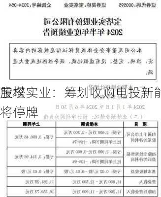 宝塔实业：筹划收购电投新能源
股权 将停牌