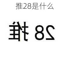 推28是什么