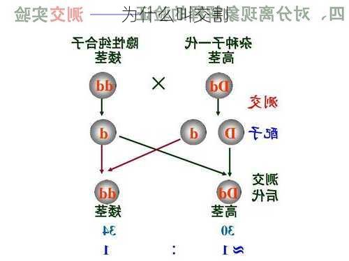 为什么叫交割