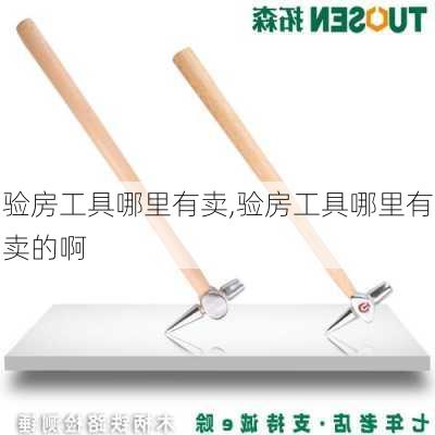 验房工具哪里有卖,验房工具哪里有卖的啊