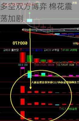 多空双方博弈 棉花震荡加剧