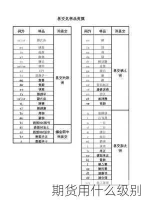 期货用什么级别