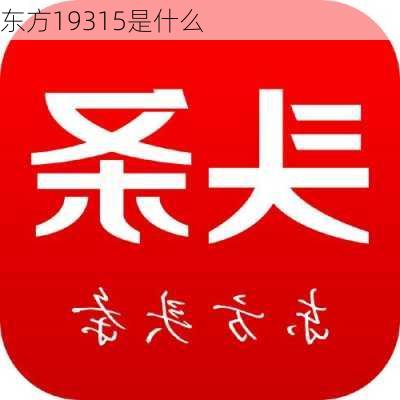 东方19315是什么