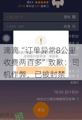 滴滴“订单异常8公里收费两百多”致歉：司机作弊，已被封禁