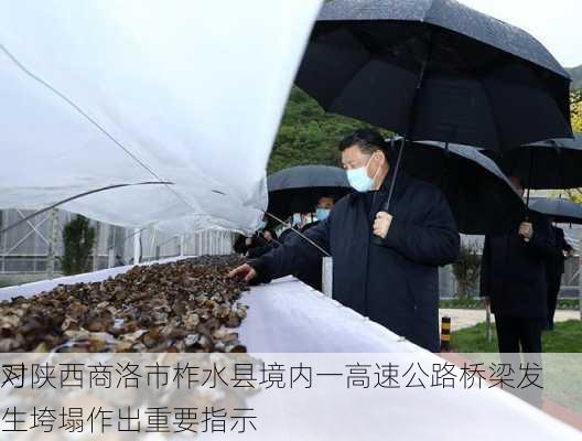 习
对陕西商洛市柞水县境内一高速公路桥梁发生垮塌作出重要指示