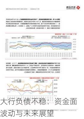 大行负债不稳：资金面波动与未来展望