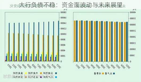 大行负债不稳：资金面波动与未来展望