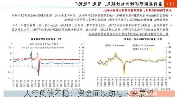 大行负债不稳：资金面波动与未来展望