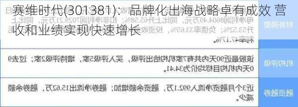 赛维时代(301381)：品牌化出海战略卓有成效 营收和业绩实现快速增长