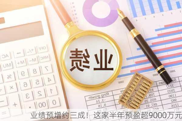 业绩预增约三成！这家半年预盈超9000万元