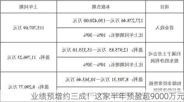 业绩预增约三成！这家半年预盈超9000万元