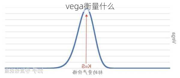 
vega衡量什么