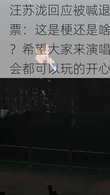 汪苏泷回应被喊退票：这是梗还是啥？希望大家来演唱会都可以玩的开心