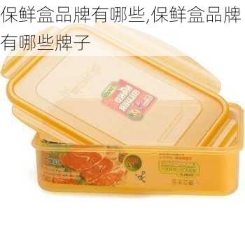 保鲜盒品牌有哪些,保鲜盒品牌有哪些牌子