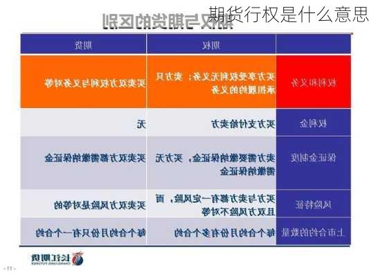 期货行权是什么意思