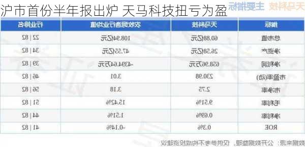 沪市首份半年报出炉 天马科技扭亏为盈