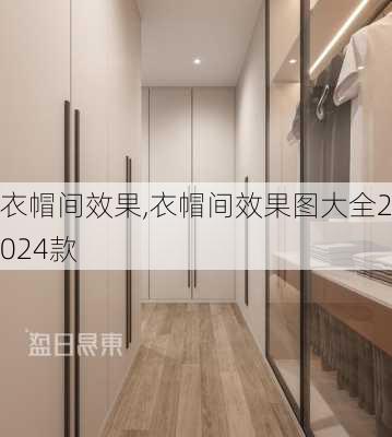 衣帽间效果,衣帽间效果图大全2024款